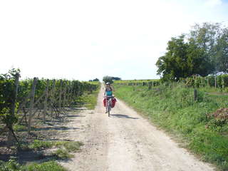 2011-08 Morawskie szlaki win